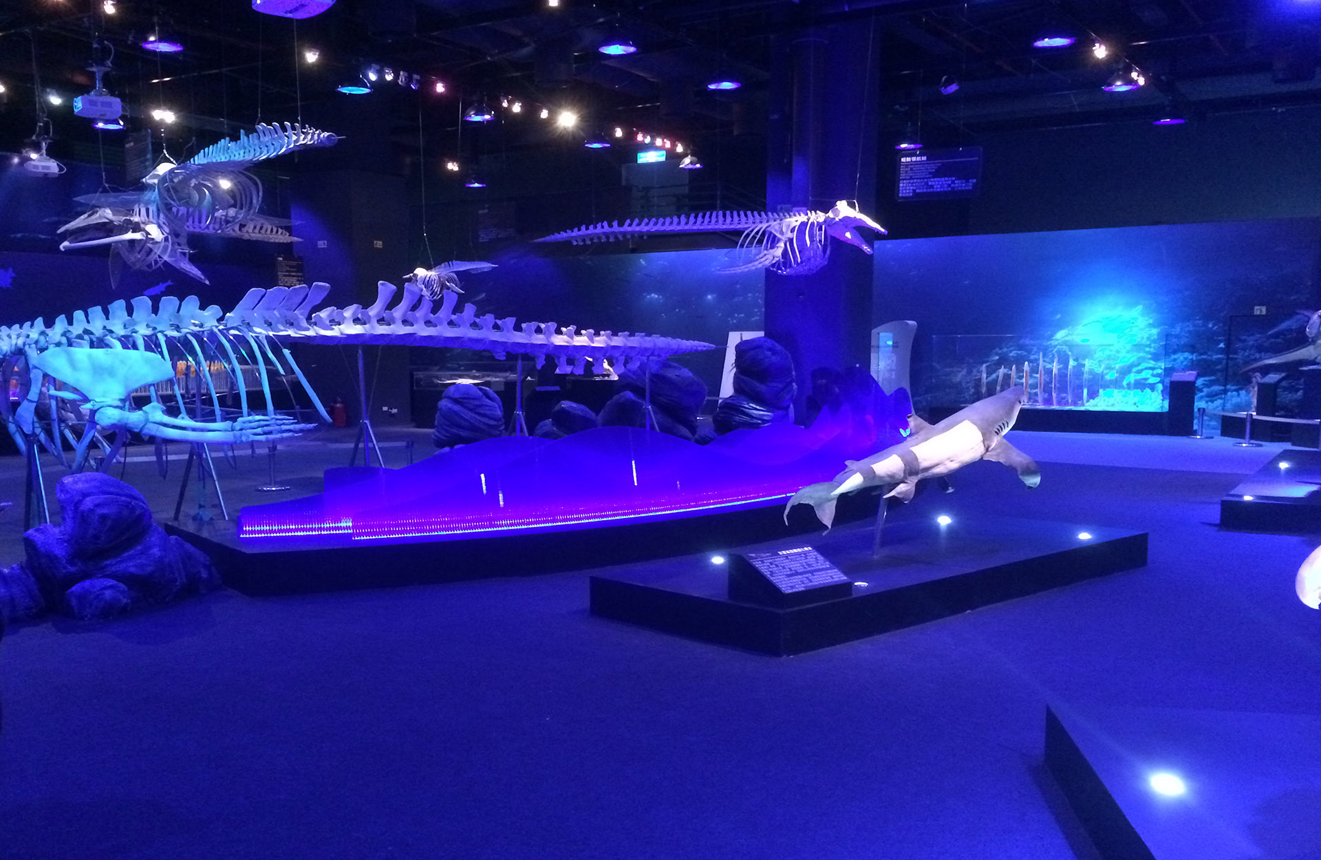 Sea Monsters